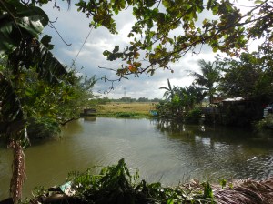 A beautiful little lake in my area - just a normal part of my daily schedule...